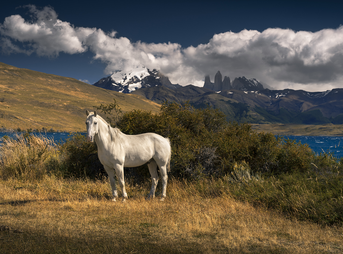 Laguna Azul, Torres del Paine, Î§Î¹Î»Î®