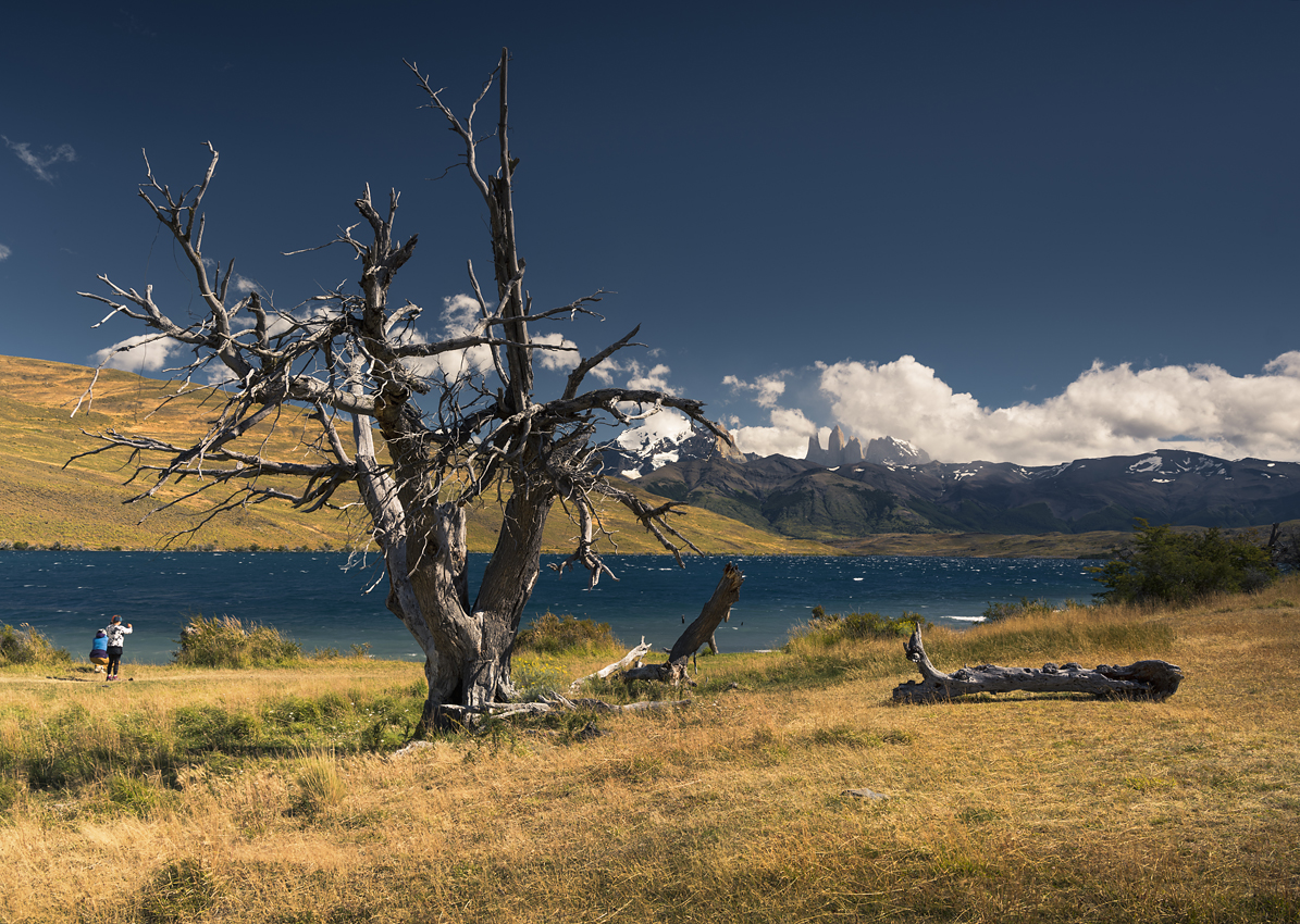 Laguna Azul, Torres del Paine, Î§Î¹Î»Î®